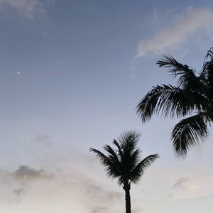 Meet your Posher, Andi